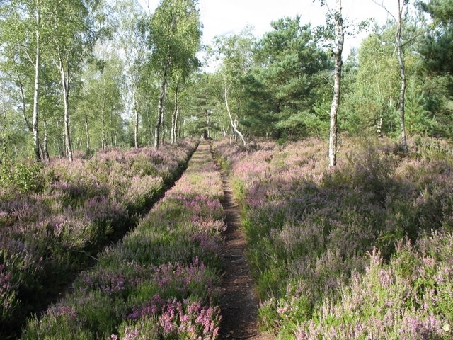 2007 08 Bois de Rochefort 24